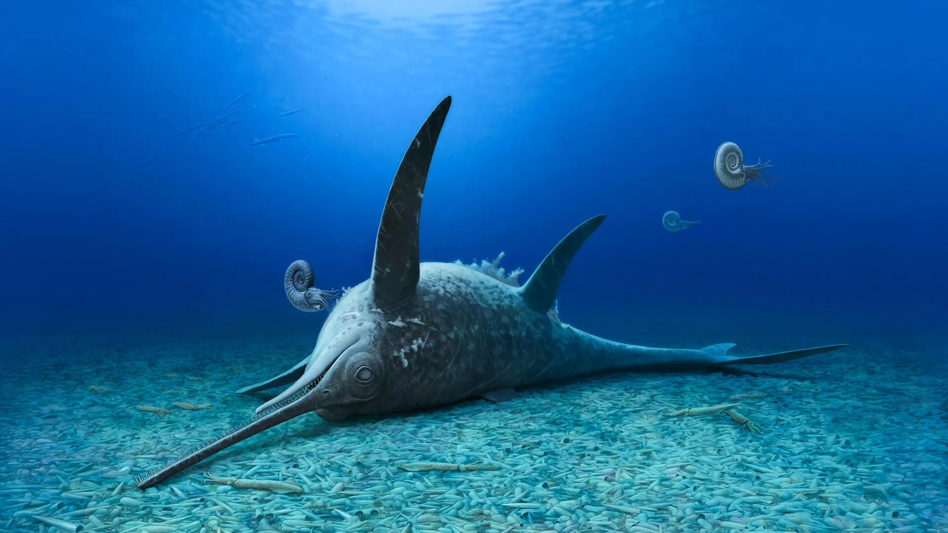 Fossils in germany reveal a Jurassic sea monster with a swordfish snout